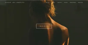 Squarespace website example from adversary template