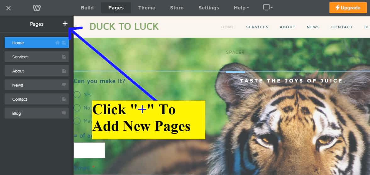 Click on page & use + button to add new pages.