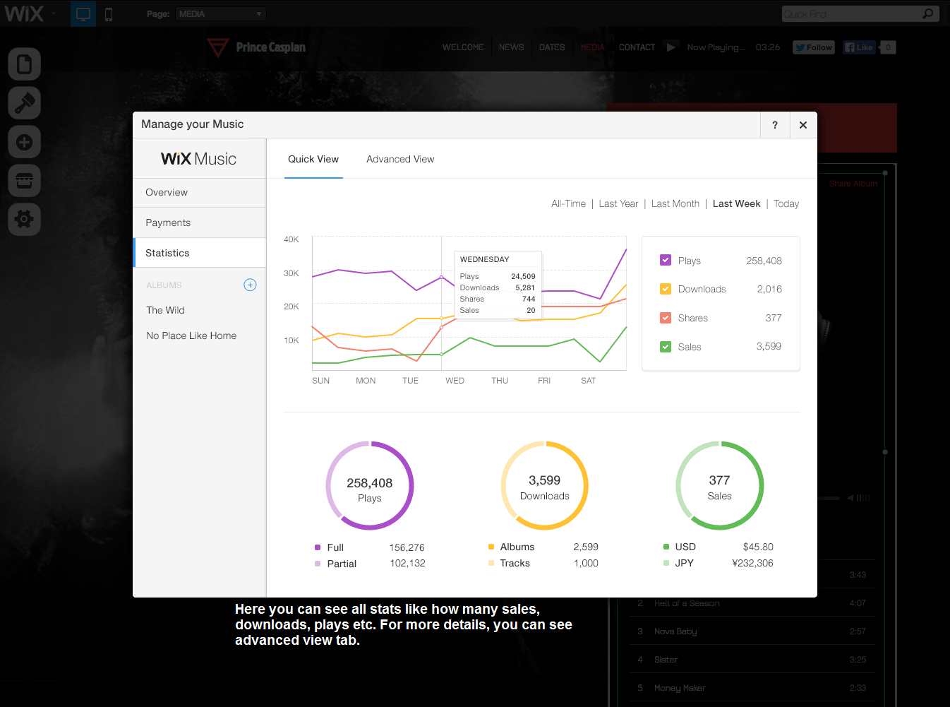 wix music stats like number of music sales, downloads, plays & advanced statistics.