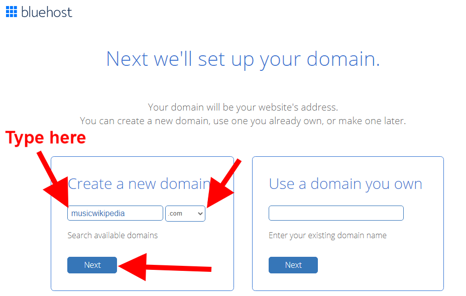Choose your domain name for your Wikipedia website