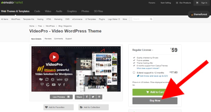 Video Pro Theme for YouTube Like Website Creation