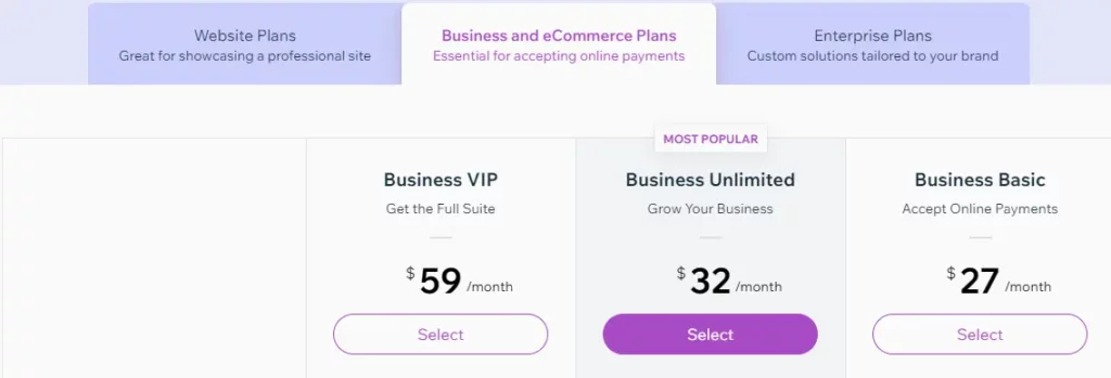 Wix Business Plan