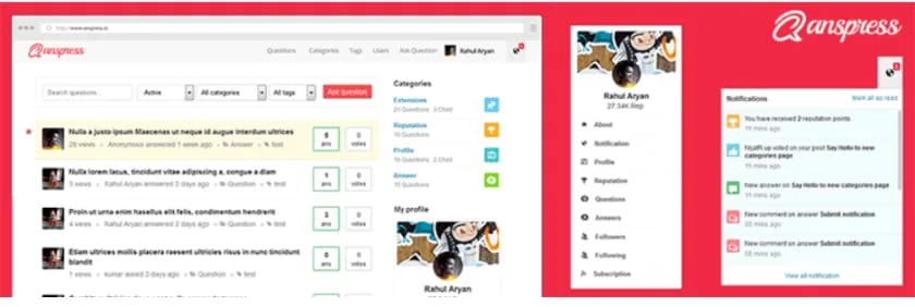 Anspress Plugin