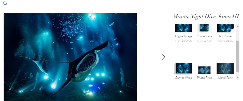 best Photography website jkowitz