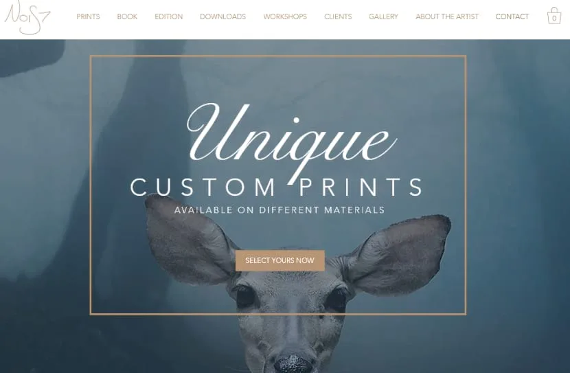 best Photography website nois7