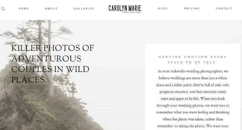 best Photography website used wordpress