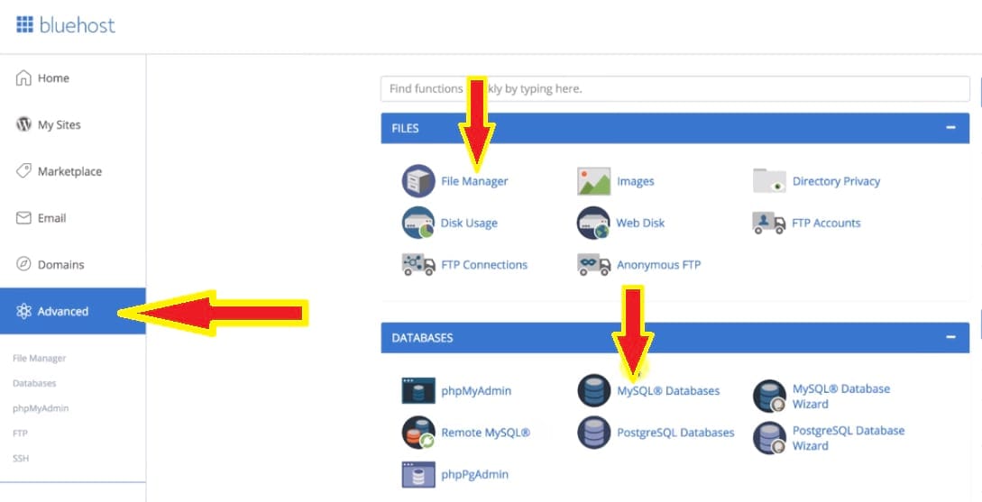 cpanel file manager and database