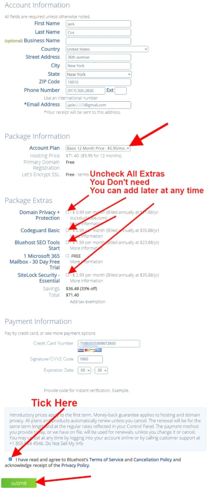 fill up your details & make payment to get hosting and domain