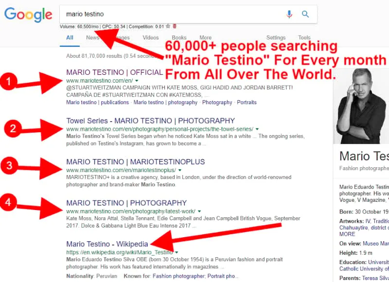 Maria Testino website on google search