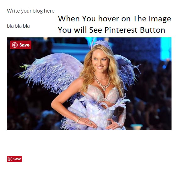 pinterest pin button on the image example
