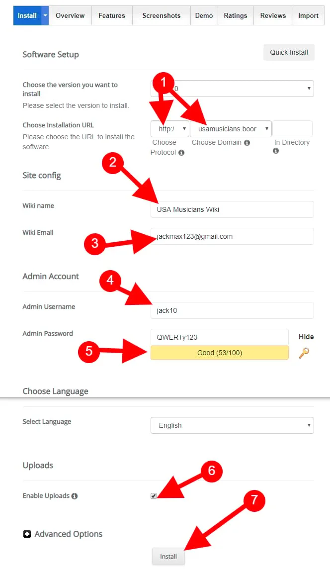 setup your Wikipedia website